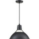 R Series 1 Light 13 inch Satin Black Indoor Pendant Ceiling Light